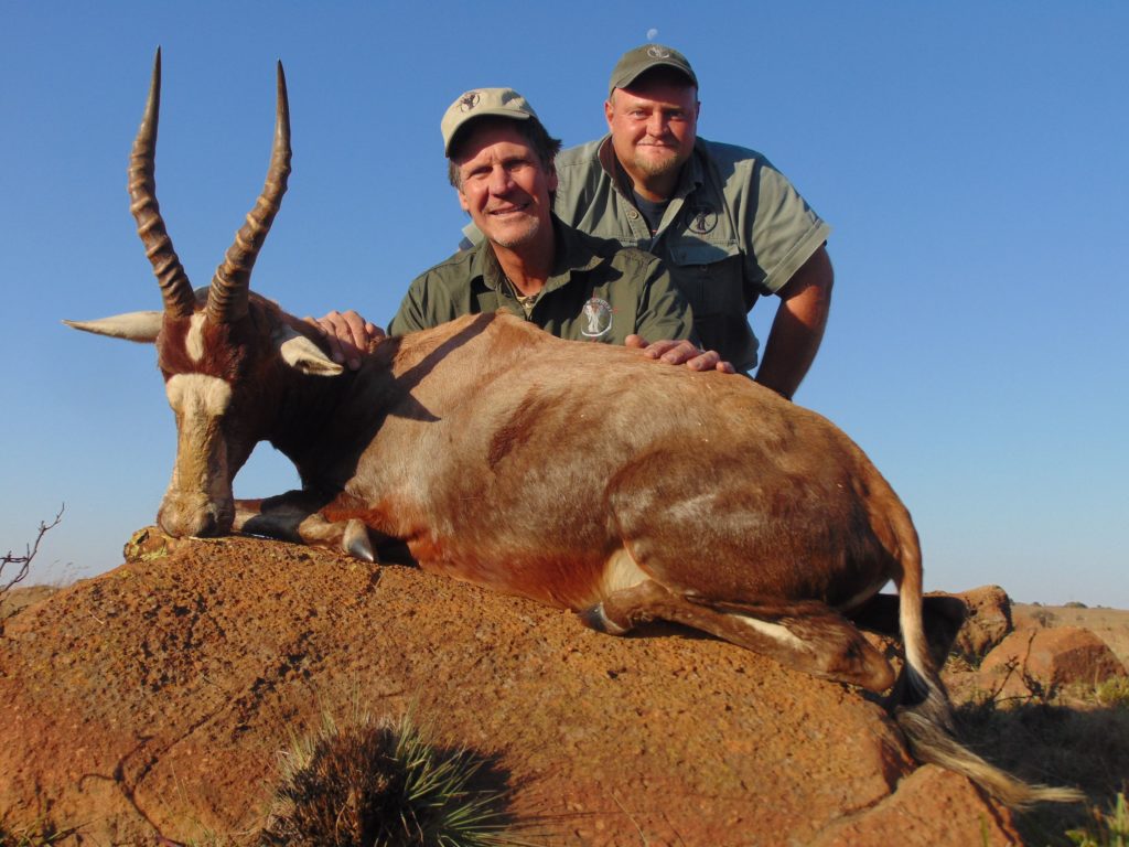 african plains game hunting safari blesbok