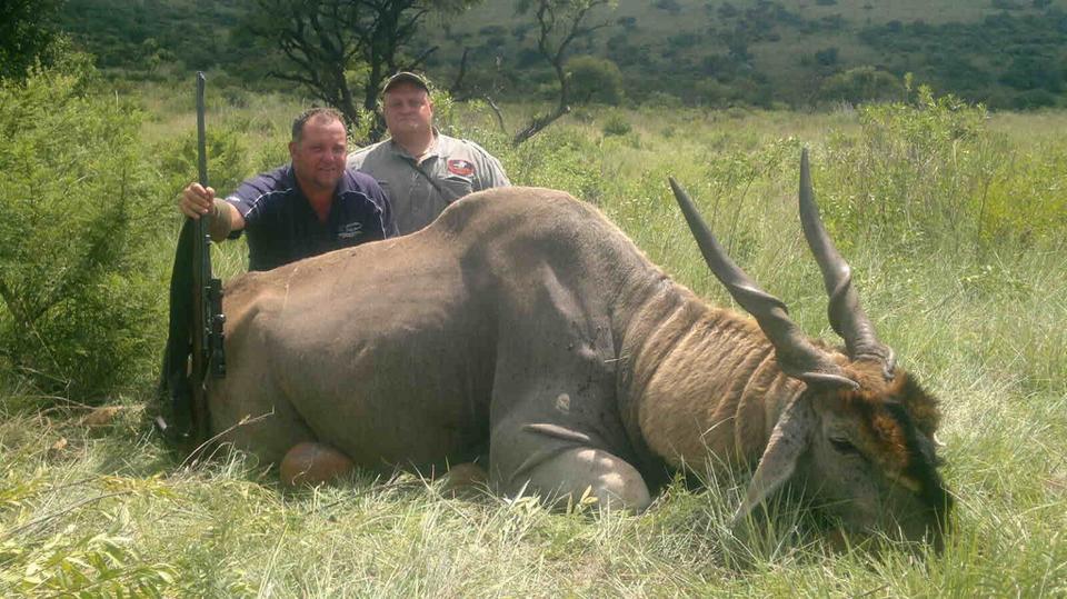 african plains game hunting safaris eland