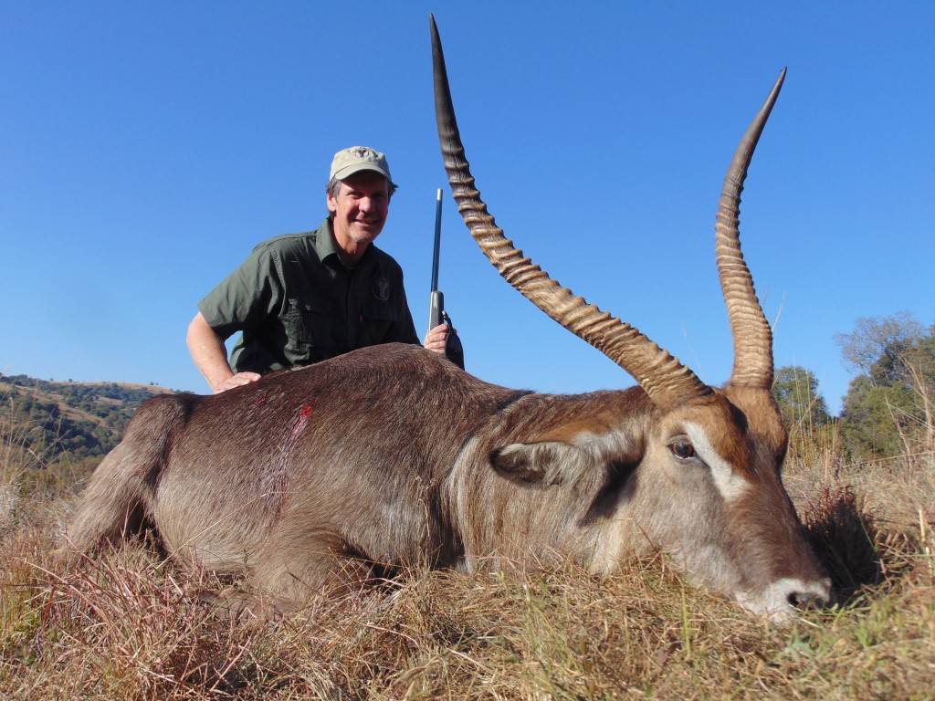 african plains game hunting safaris waterbuck