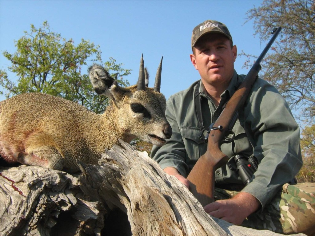 african plains game hunting safaris klipspringer 