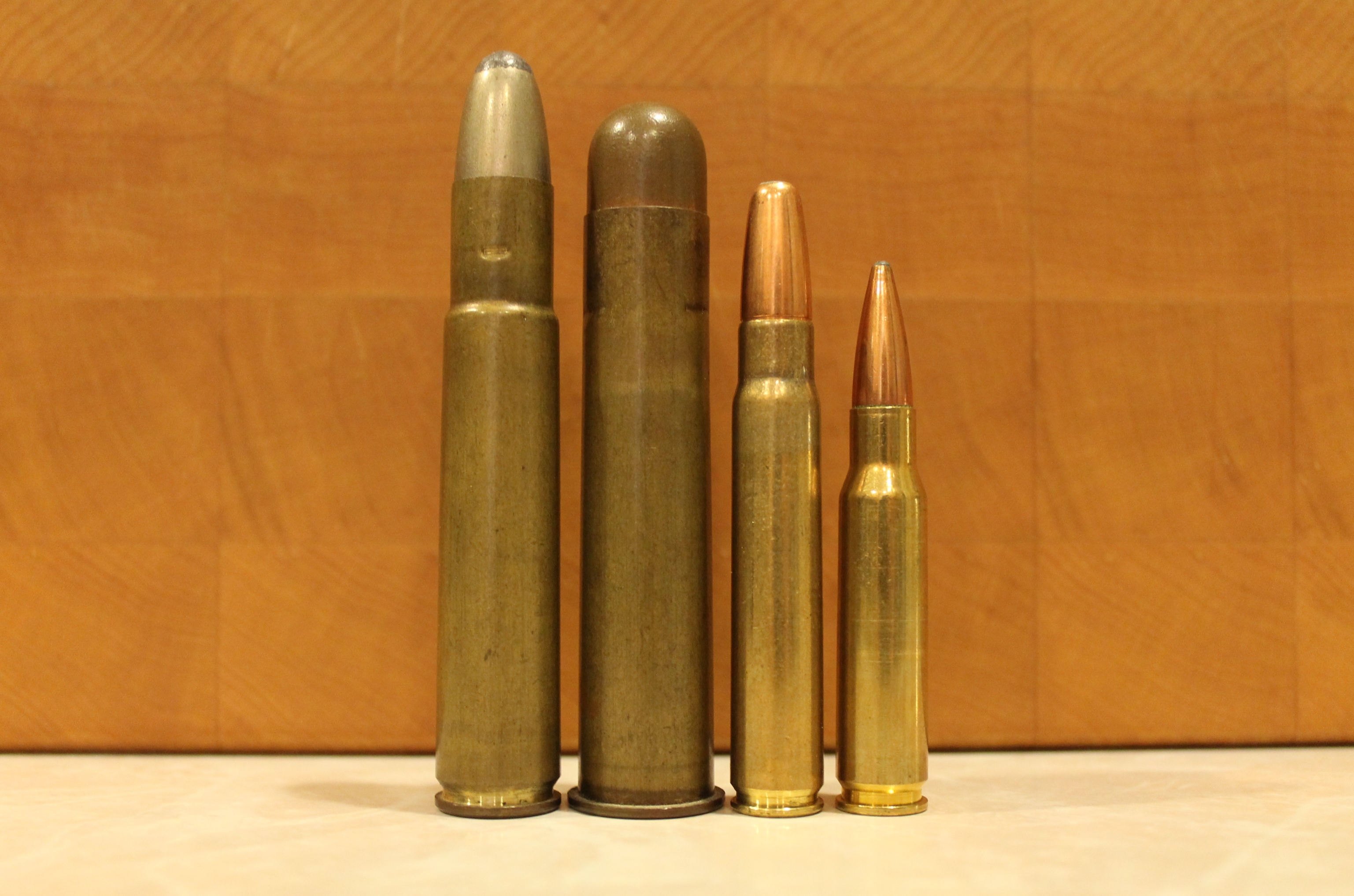 Best Caliber For An African Safari Hunt bullets