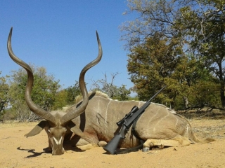 kudu hunting in south africa 5