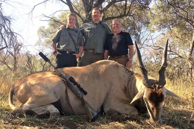 picture of eland on south african hunting safari