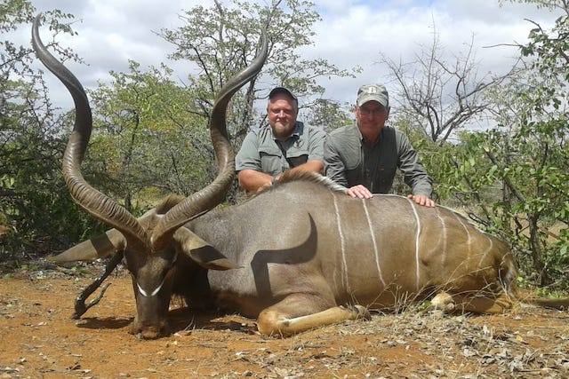 picture of kudu on south african hunting safari bushveld 2