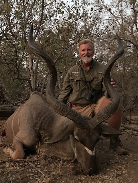 picture of kudu on south african hunting safari bushveld