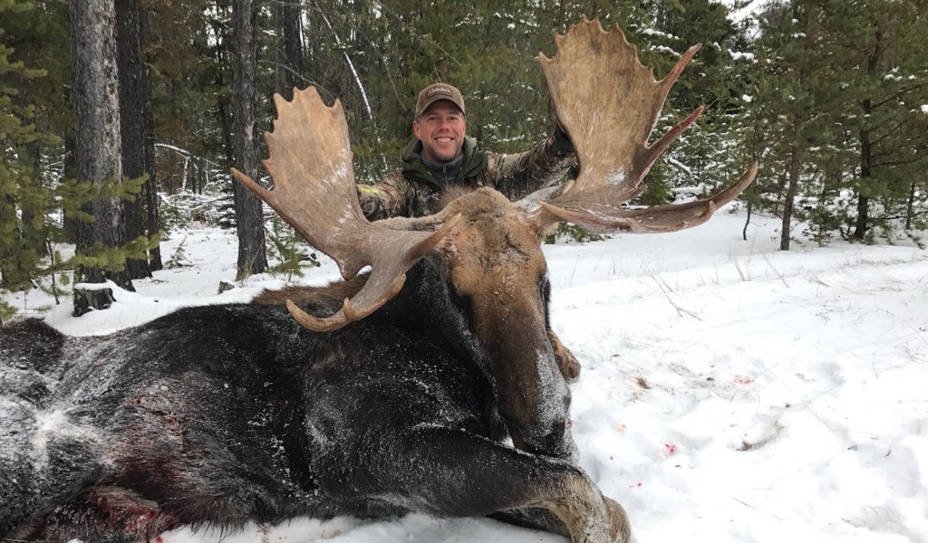 foto van moose hunting alberta