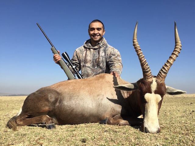 picture of blesbok on south african hunting safari