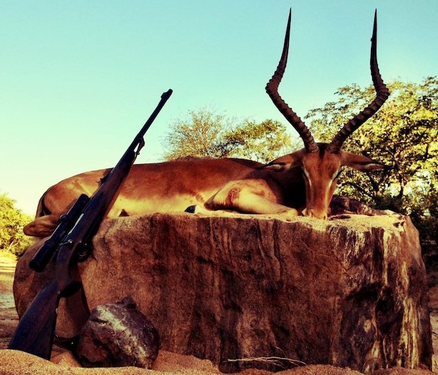 20242025 South Africa Hunting Price List Big Game Hunting Adventures