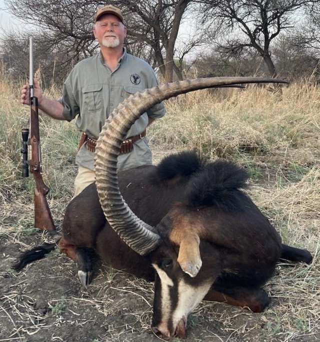 picture of cape buffalo hunting sable oct 2022