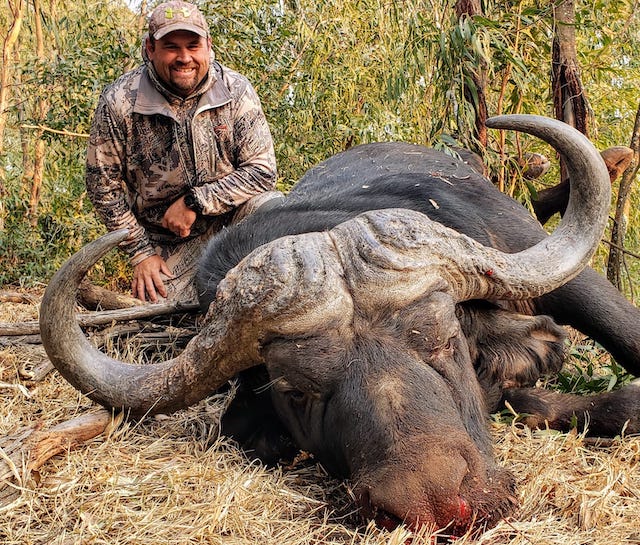picture of south africa hunting packages buffalo 2021
